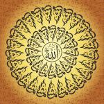 41 Maşallah / Gürkan Pehlivan