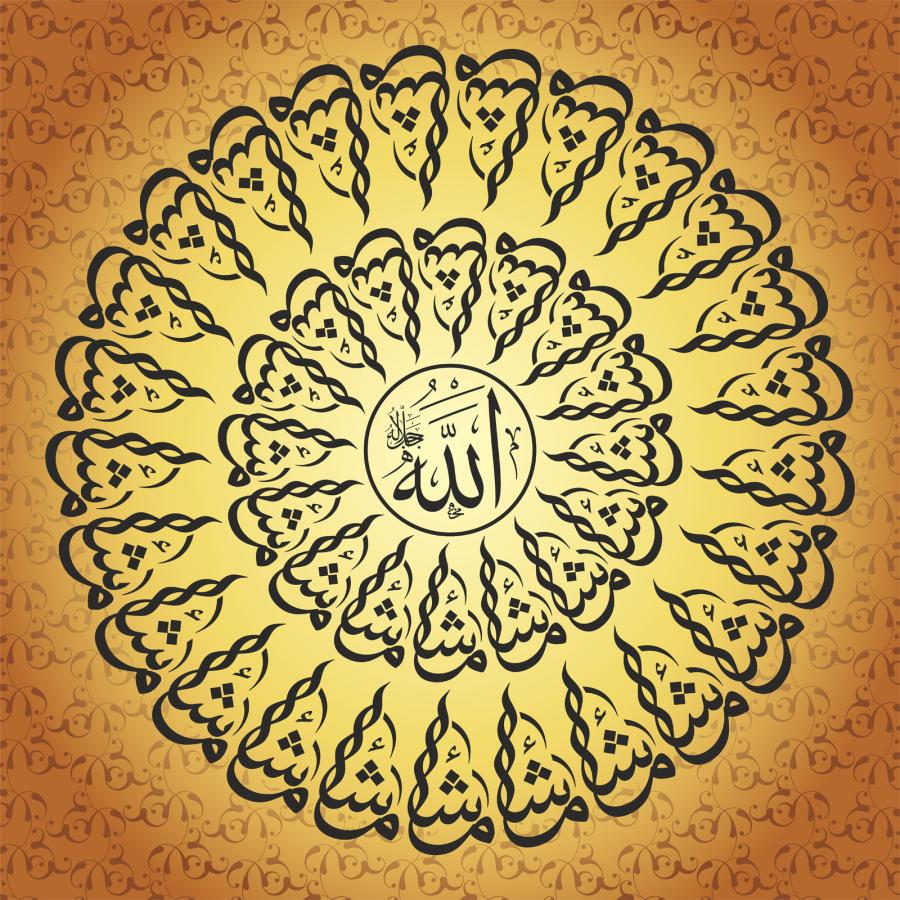 41 Maşallah / Gürkan Pehlivan