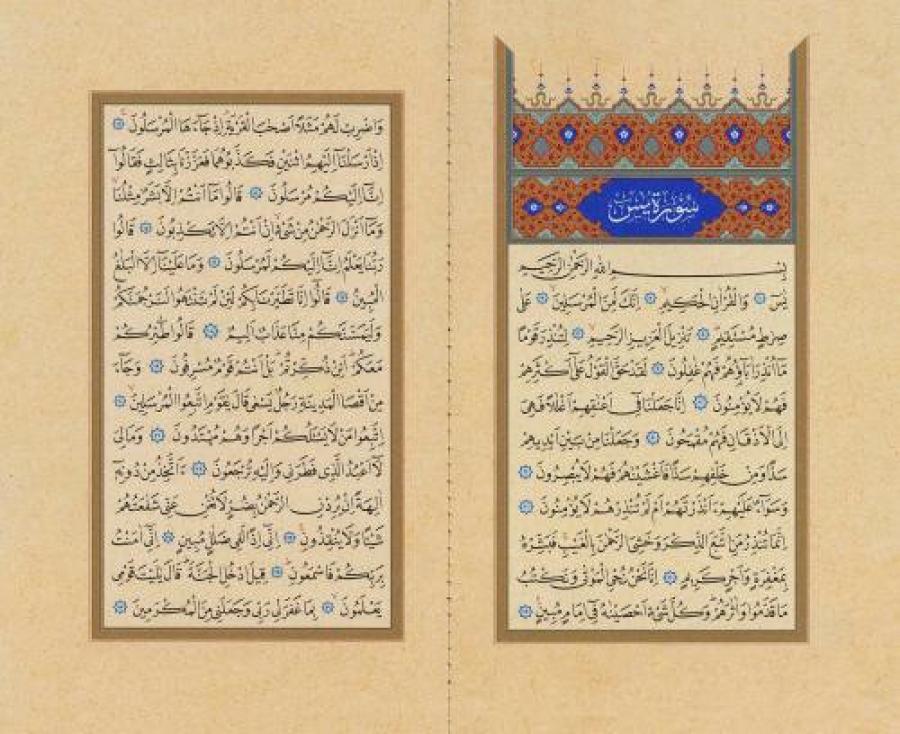Mehmet Özçay / Yasin Cüzü