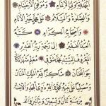 Şevki Efendi / Amme Cüzü