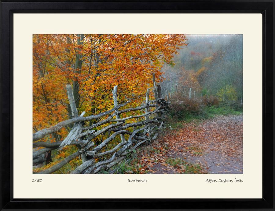 Sonbahar || Edisyon Baskı Fotoğraf